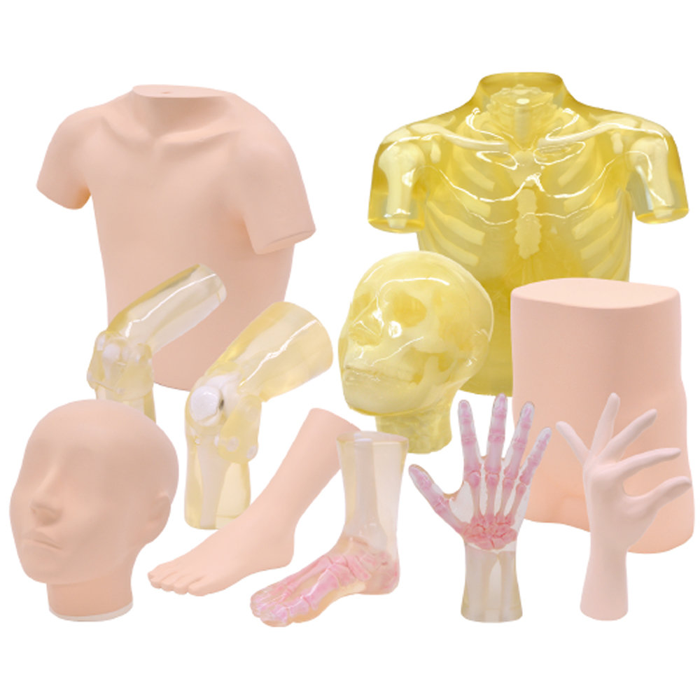 Phantom X quang mô phỏng cơ thể người