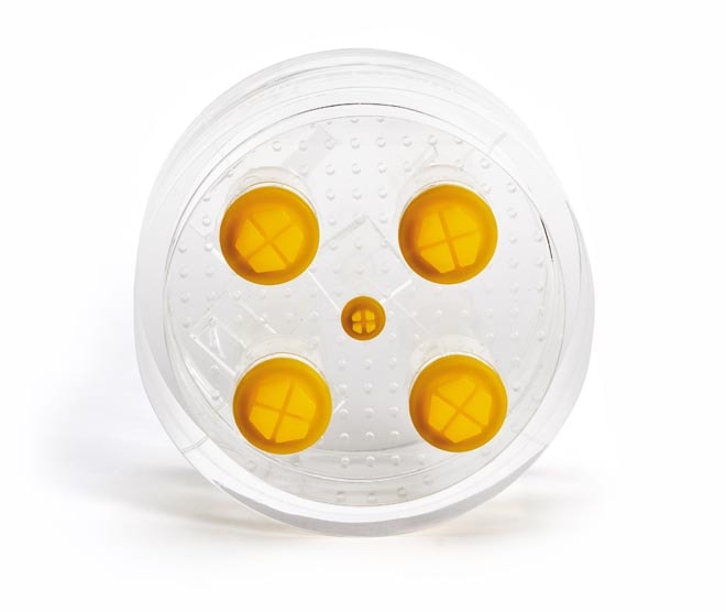 MagIQ 142
