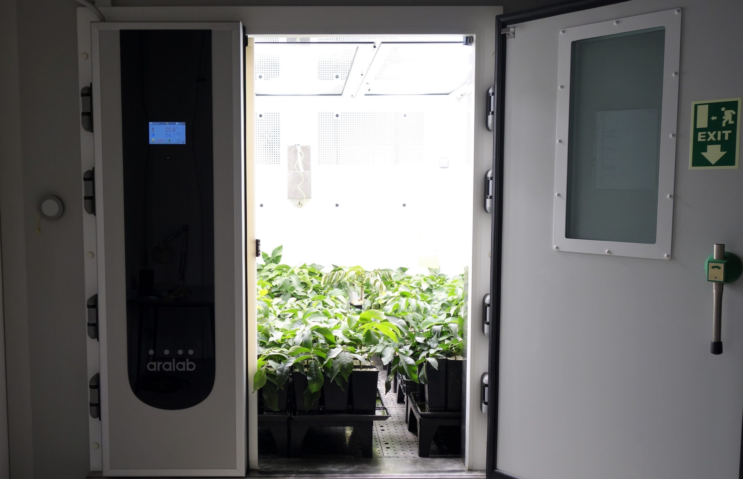 PHÒNG TRỒNG CÂY FITOCLIMA HP “WALK-IN”