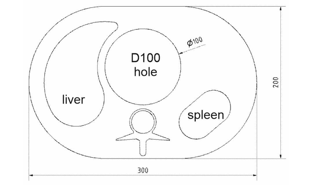 Phantom mô phỏng bụng Phantom mô phỏng bụng
